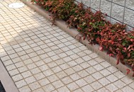ピンコロサビミカゲのような明るい舗装材ストーンパーク