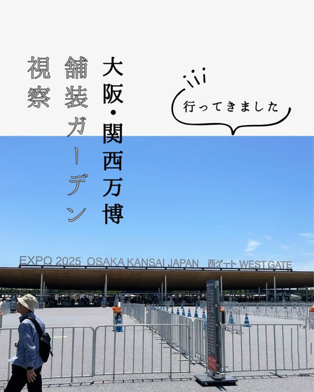 【現地視察で出会った素敵なガーデンと舗装】万博会場内では、インターロッキング舗装がさまざまな場面で活用されており、業界に関わる者として大変嬉しい気持ちになりました。特に、植栽と舗装が美しく調和したエリアには心惹かれました。著作権等の関係で詳細はお伝えできませんが、有名パビリオン内舗装を当社が担当させていただきました。今後も景観と機能性を両立した製品開発に取り組んでまいります。#大阪関西万博2025 #景観デザイン #舗装視察 #施工事例紹介 #インターロッキング #舗装のある風景