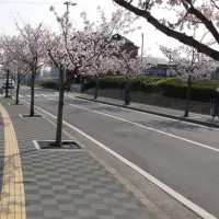 魚住歩道(明石市/ハートランドペイブ透水)