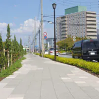 ムーブネオブラスト,MoveNeoBlastPermeability,Gallaly,pubphot