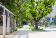 磯上公園-公共-クールスポットペイブ研削-クールスポットペイブショット-カラー(ポートクレール)