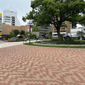 公園広場をつなぐ緑に合う敷材。グランパムH(H02,H04,H05)使用