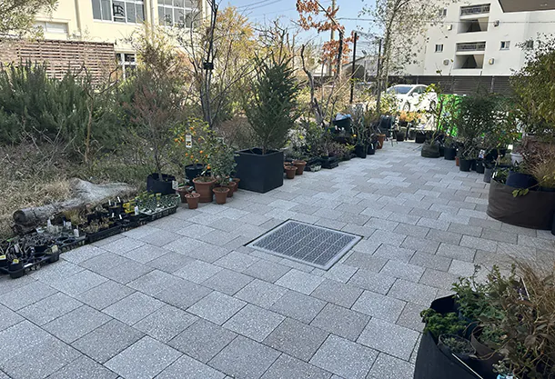 NATURE STUDIO WEST(神戸市) | クールスポットペイブ